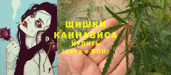гашик Остров