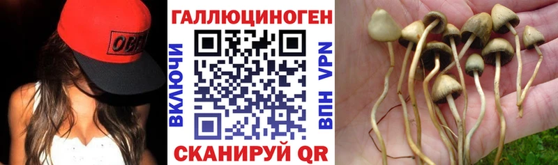 Псилоцибиновые грибы мухоморы  OMG вход  Ишим 